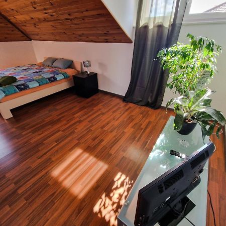 סאן לואיס Beautiful Aparment Next To The Border 4 Room מראה חיצוני תמונה