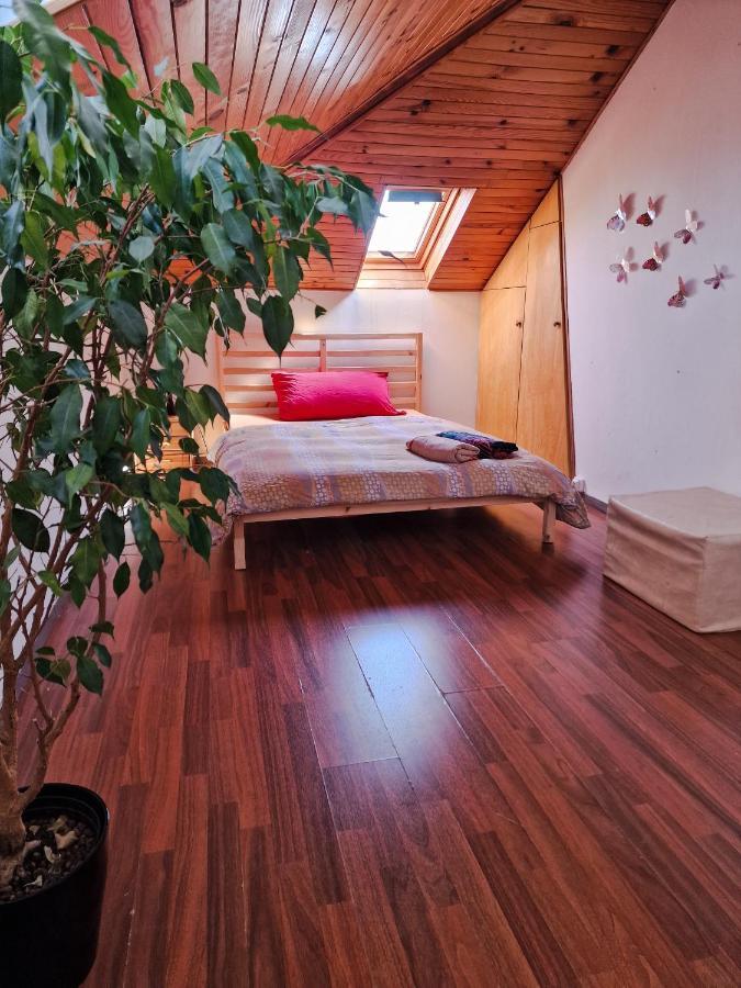 סאן לואיס Beautiful Aparment Next To The Border 4 Room מראה חיצוני תמונה