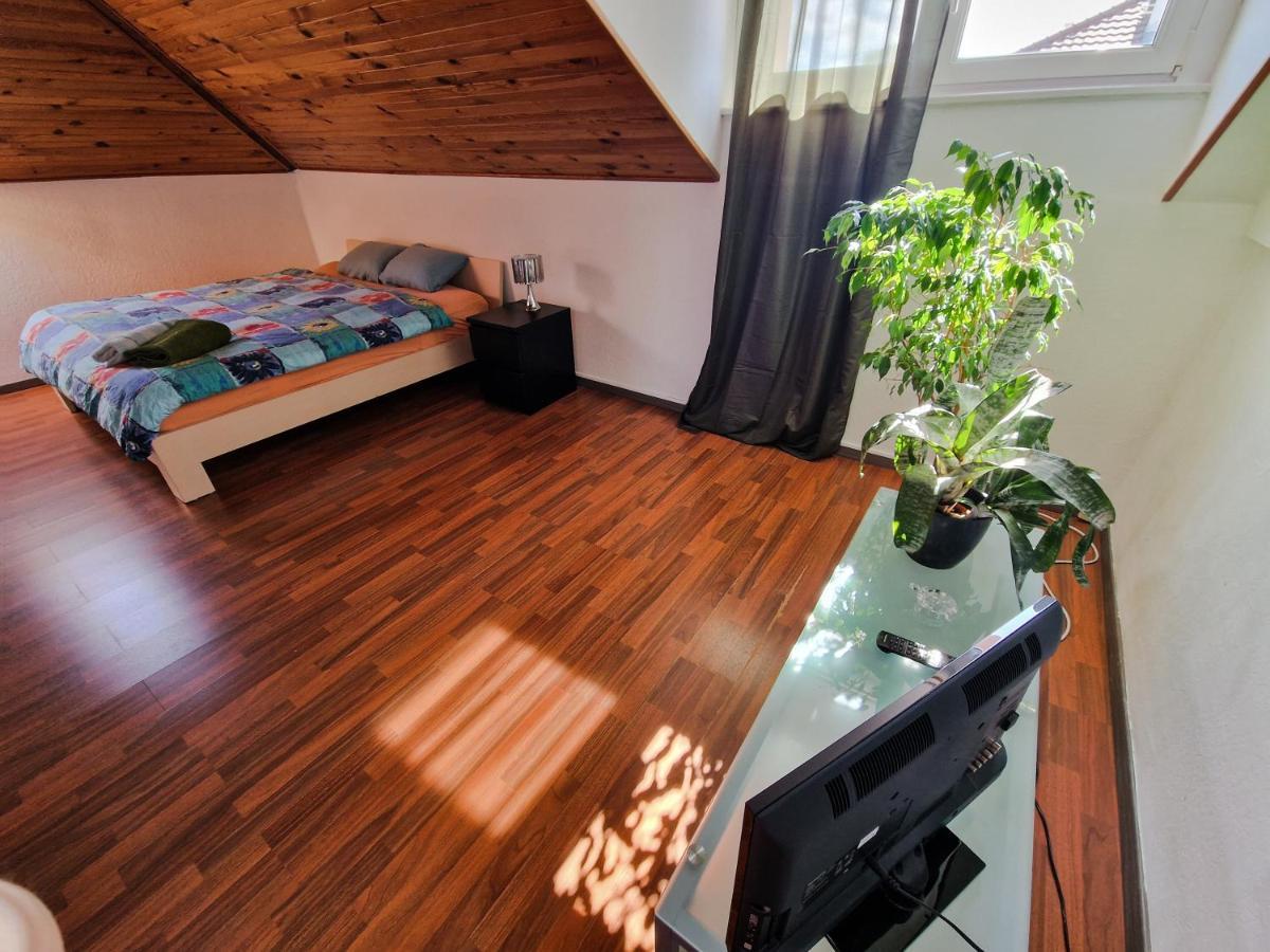 סאן לואיס Beautiful Aparment Next To The Border 4 Room מראה חיצוני תמונה
