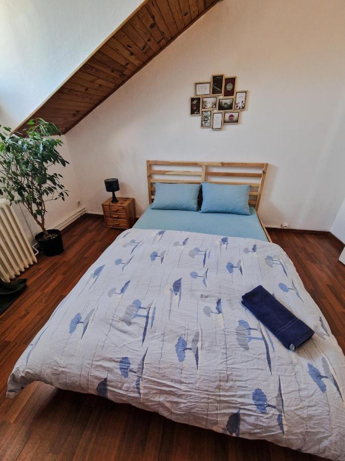 סאן לואיס Beautiful Aparment Next To The Border 4 Room מראה חיצוני תמונה